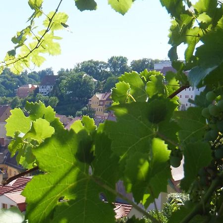 Hotel Schlossberg Meißen Kültér fotó