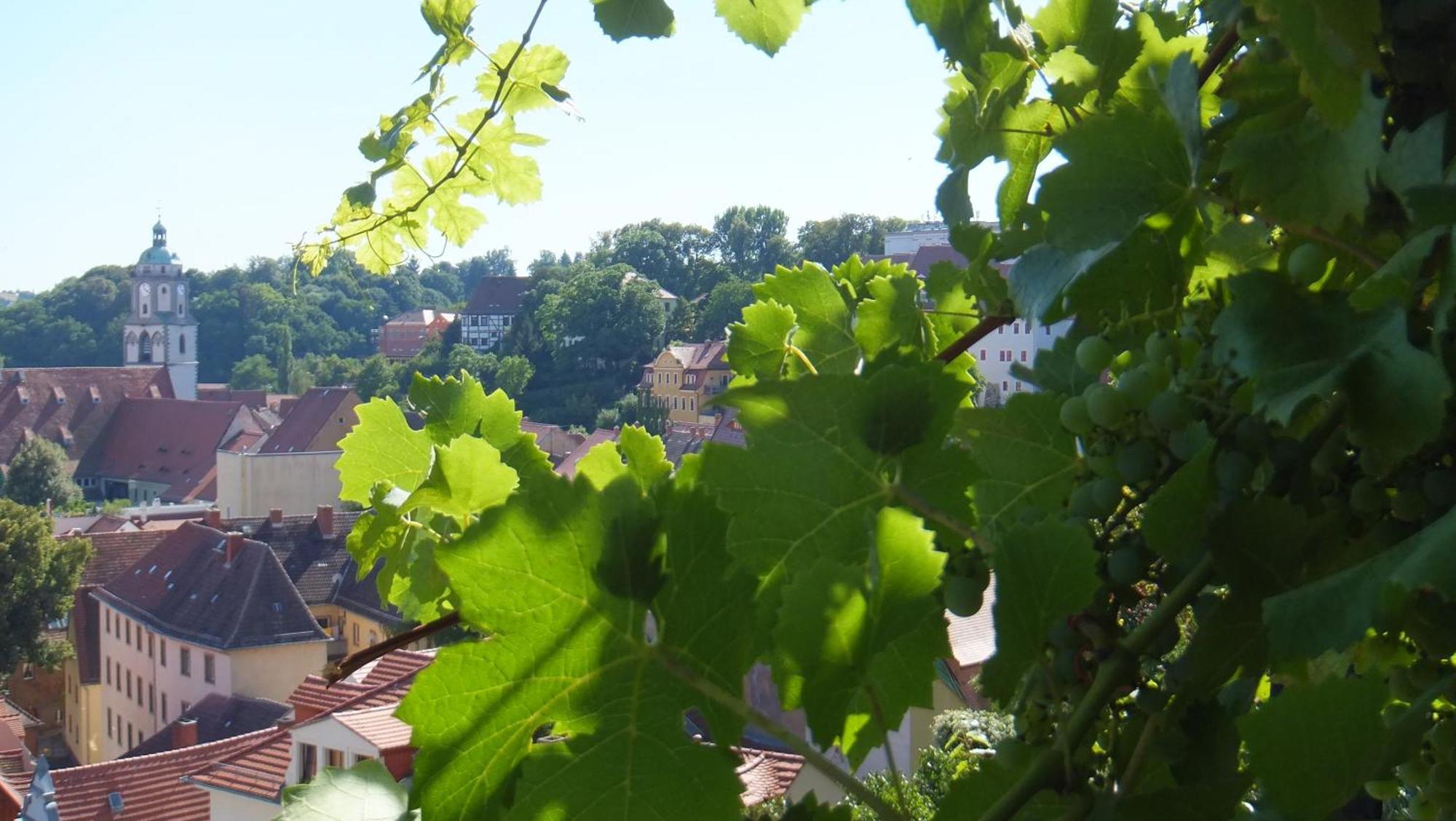 Hotel Schlossberg Meißen Kültér fotó